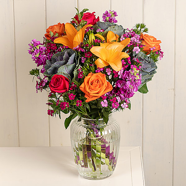 GET 3 BEST SERENATA FLOWERS & FLOWER VARIETIES SECTION Spideroo