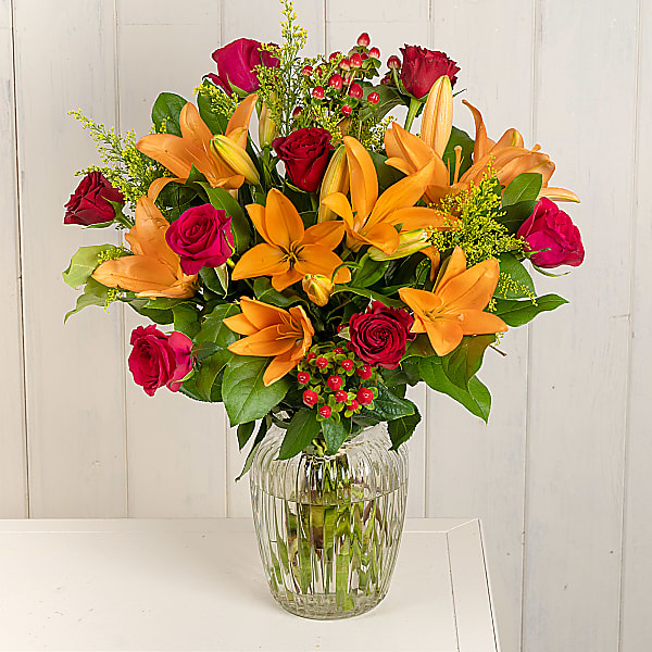GET 3 BEST SERENATA FLOWERS & FLOWER VARIETIES SECTION Spideroo