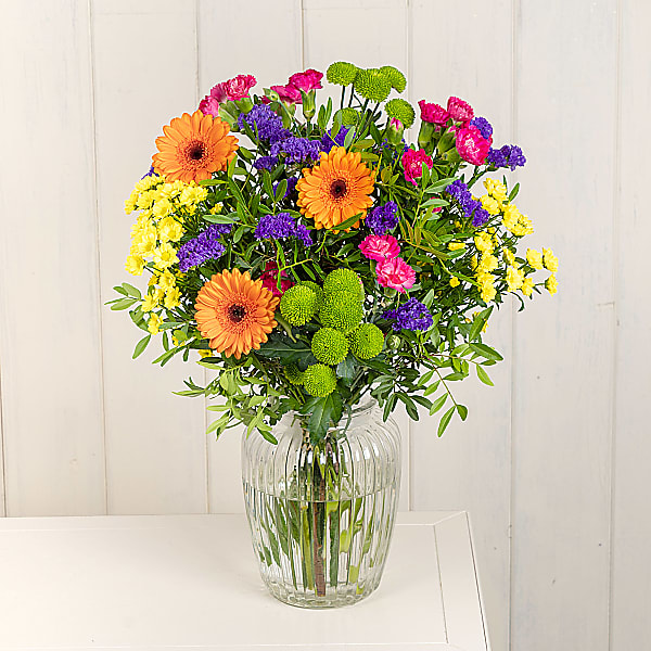 GET 3 BEST SERENATA FLOWERS & FLOWER VARIETIES SECTION - Spideroo